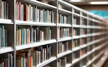 Plastuś wraca po inwentaryzacji - książki znów będą na wyciągnięcie ręki